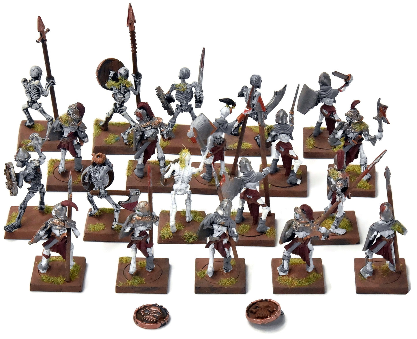 VAMPIRE COUNTS 20 Skeleton Warriors #1 Fantasy