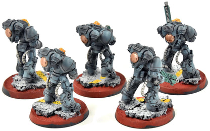 SPACE MARINES 5 Heavy Intercessors #1 WELL PAINTED Warhammer 40K