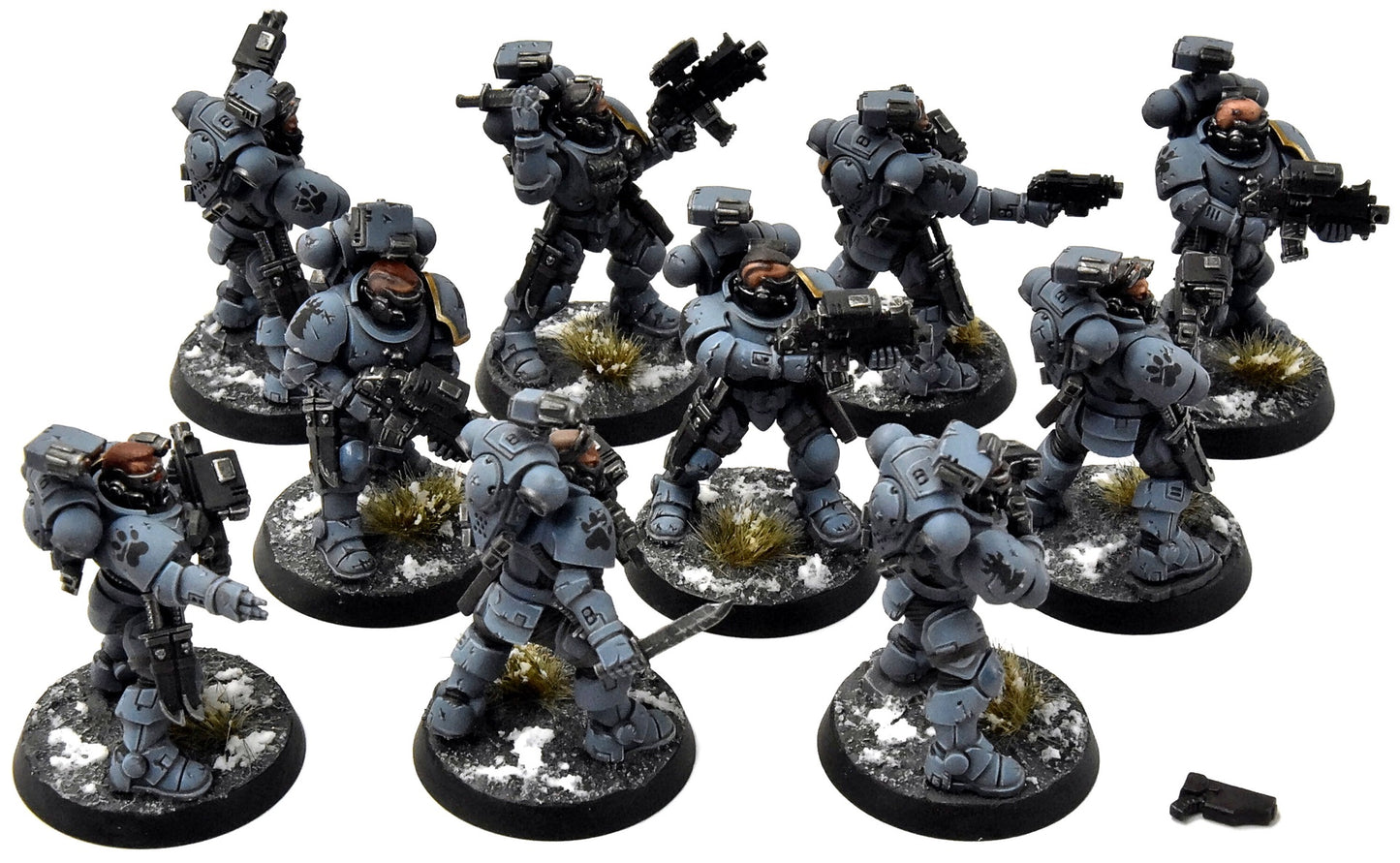 SPACE WOLVES 10 Incursors #1 PRO PAINTED Warhammer 40K
