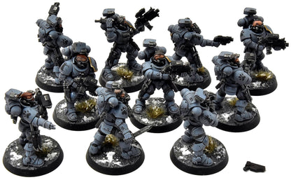 SPACE WOLVES 10 Incursors #1 PRO PAINTED Warhammer 40K