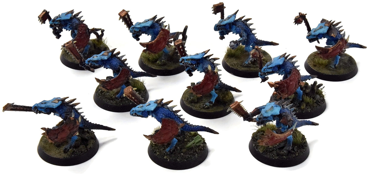 SERAPHON 10 Saurus Warriors #1 WELL PAINTED Sigmar