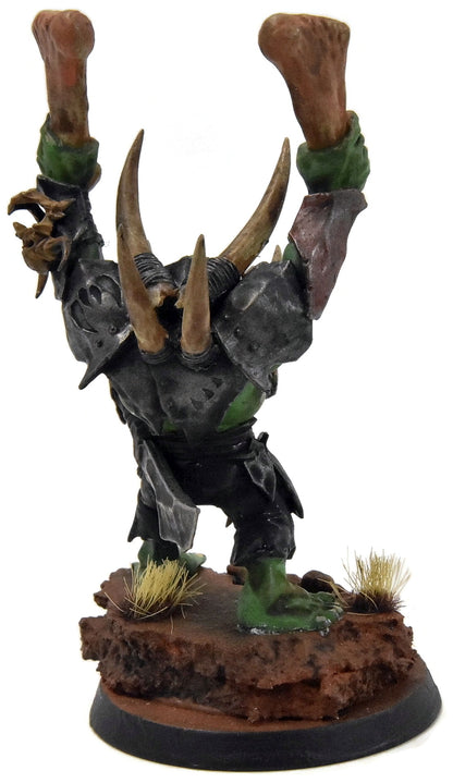ORRUK WARCLANS Warchanter #1 Sigmar WELL PAINTED