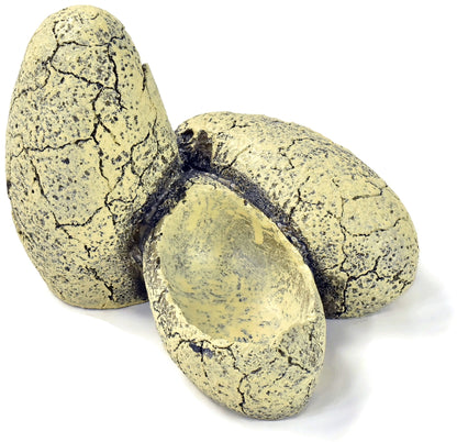 DUNGEONS & DRAGONS Eggs Scenery #1 Resin