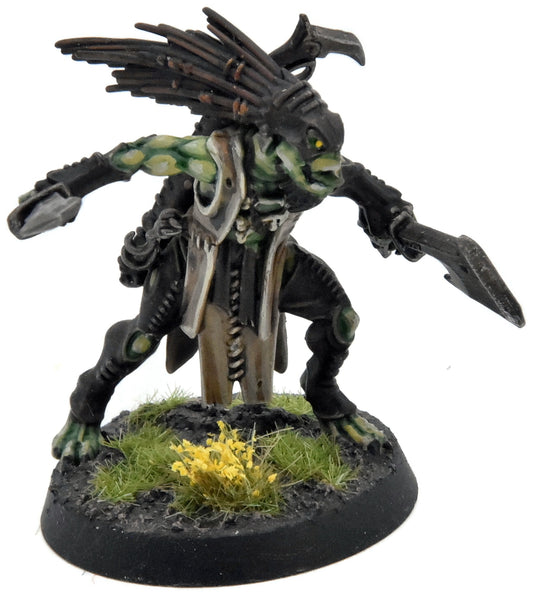 TAU EMPIRE Kroot Flesh Shaper PRO PAINTED Warhammer 40K