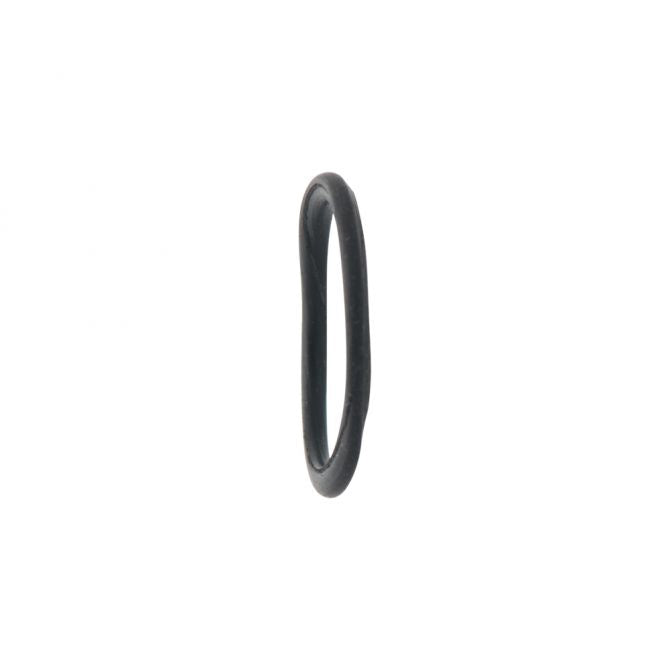 Handle O-Ring (IWATA-N1051)