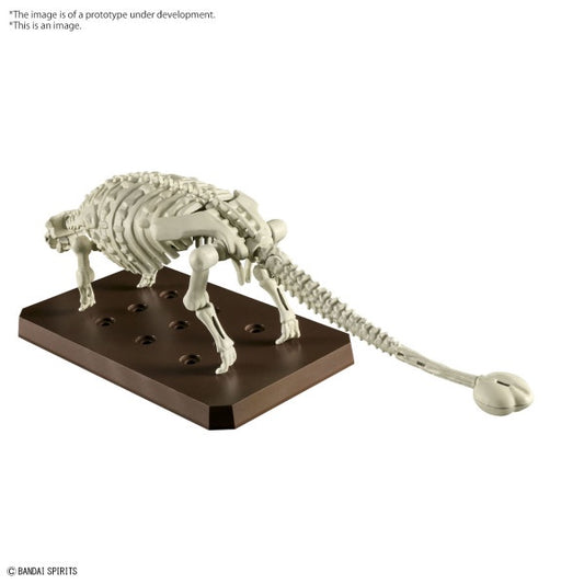 Ankylosaurus PLANNOSAURUS Bandai