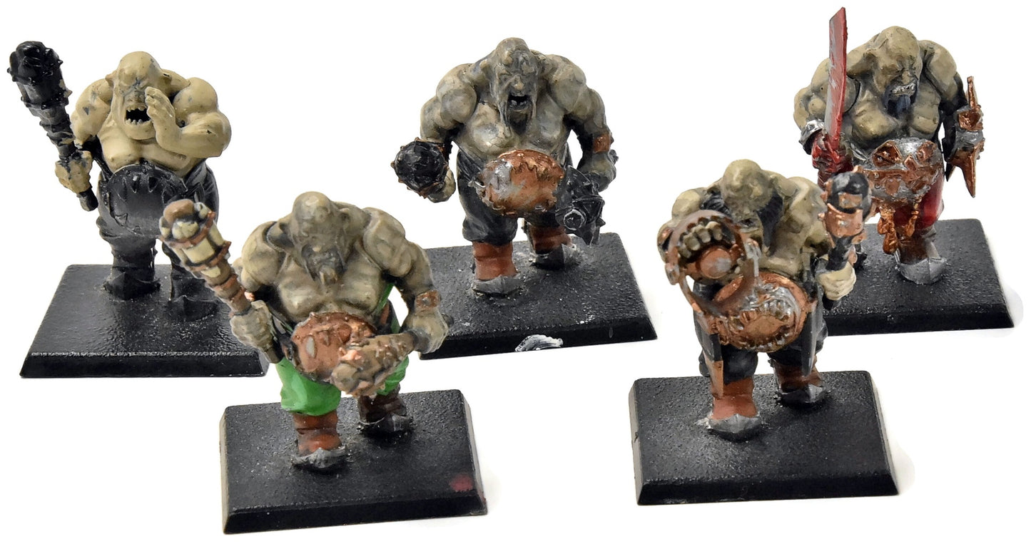 OGRE KINGDOMS 5 Ogre Bulls #1 Fantasy
