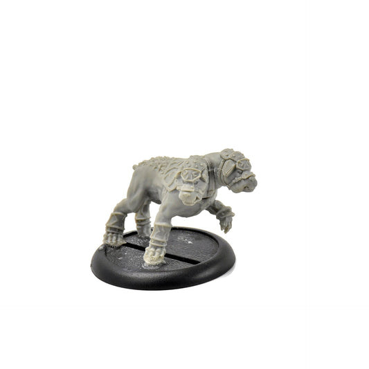 HORDES Circle Orboros Argus Moonhound #1