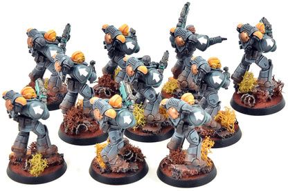 SPACE MARINES 10 Intercessors #2 WELL PAINTED Warhammer 40K