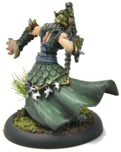 HORDES Paingiver Bloodrunner Master Tormentor #3 WELL PAINTED METAL skorne