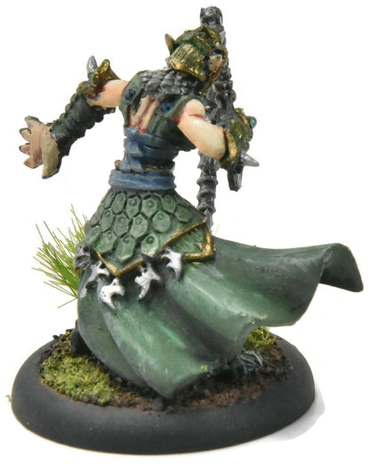 HORDES Paingiver Bloodrunner Master Tormentor #3 WELL PAINTED METAL skorne