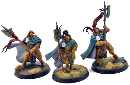 STORMCAST ETERNALS 3 Praetors #1 WELL PAINTED Sigmar