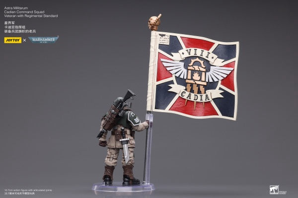 Cadian Command Squad Veteran with Regimental Standard Astra Militarum Joy Toy
