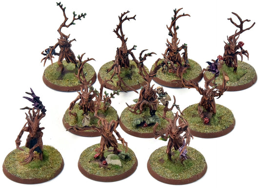 SYLVANETH 10 Dryads #1 WELL PAINTED Sigmar