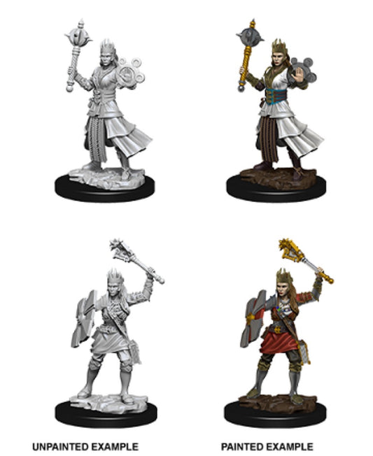 D&D Unpainted Minis Wv8 Female Human Cleric