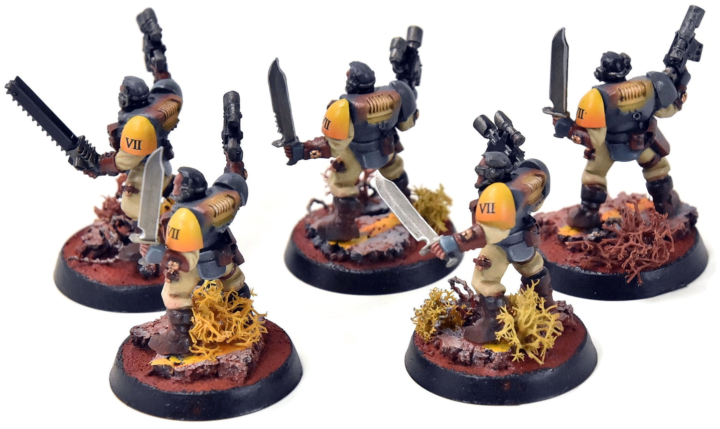 SPACE MARINES 5 Scouts #1 PRO PAINTED Warhammer 40K 0023