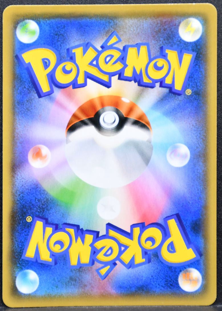Pokémon Pikachu Sword & Shield Promos (Yu Nagaba) 208/S-P LP Reverse Holofoil JP