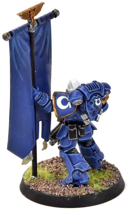 SPACE MARINES Primaris Ancient #1 WELL PAINTED 40K Ultramarines