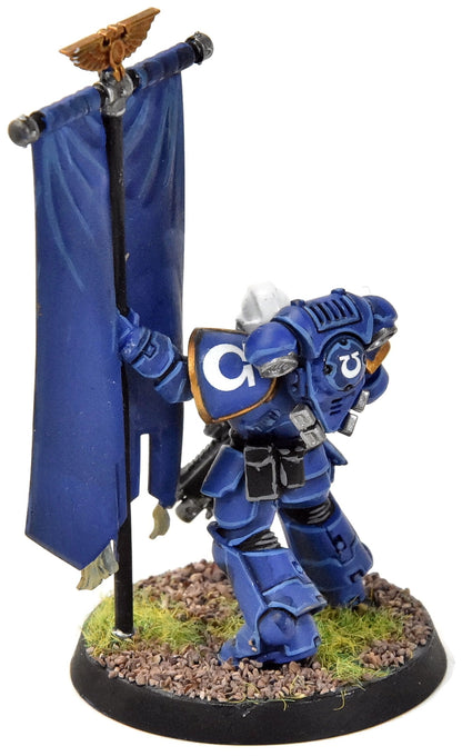 SPACE MARINES Primaris Ancient #1 WELL PAINTED 40K Ultramarines