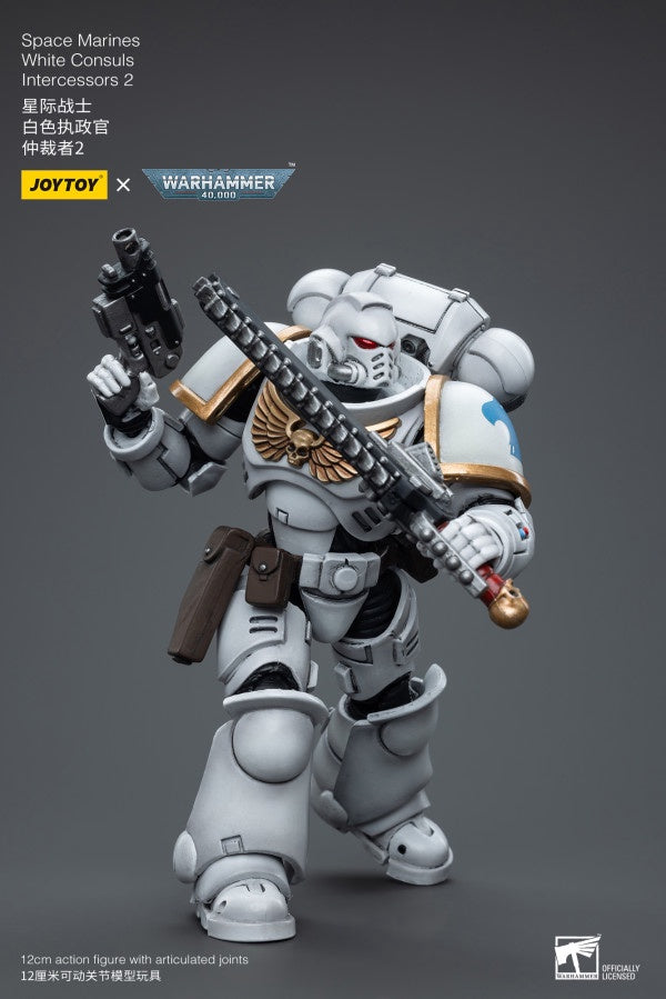 White Consuls Intercessors 2 Space Marines Joy Toy