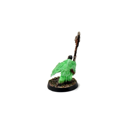 NIGHTHAUNT Necromancer #1 WELL PAINTED Sigmar