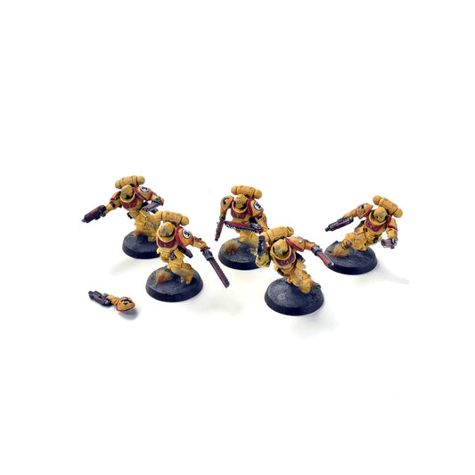 SPACE MARINES 5 Assault Intercessors #2  WELL PAINTED IMPERIAL FISTS