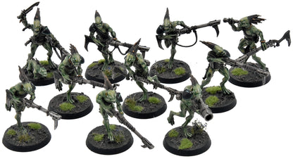 TAU EMPIRE 10 Kroot Carnivores #1 PRO PAINTED Warhammer 40K