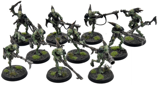 TAU EMPIRE 10 Kroot Carnivores #1 PRO PAINTED Warhammer 40K