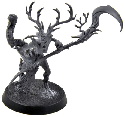 SYLVANETH Branchwych #1 Sigmar 1434