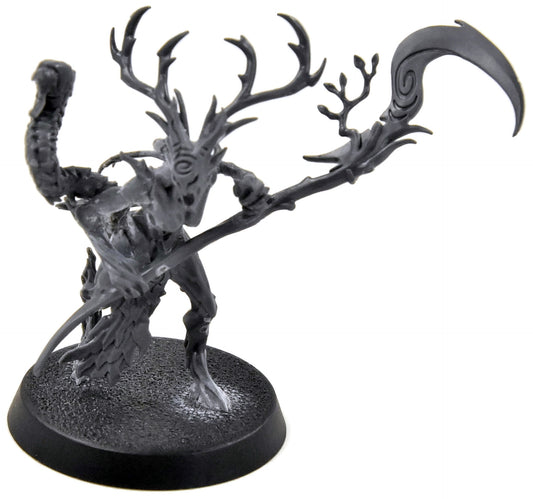 SYLVANETH Branchwych #1 Sigmar 1434