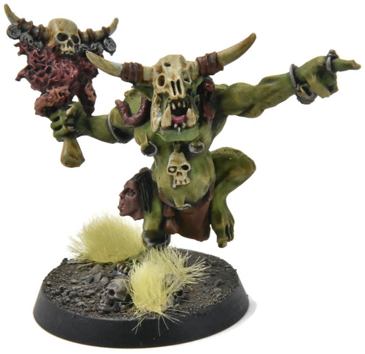 ORRUK WARCLANS Wardokk #1 WELL PAINTED Sigmar