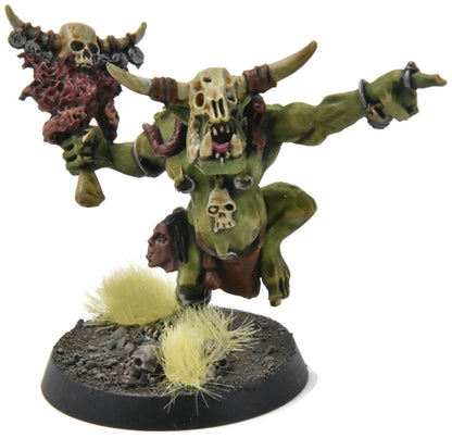 ORRUK WARCLANS Wardokk #1 WELL PAINTED Sigmar