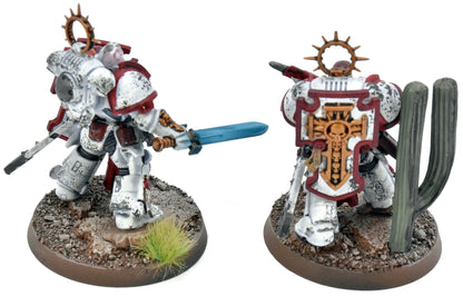 SPACE MARINES 2 Bladeguard Veterans #2 WELL PAINTED 40K White Scars