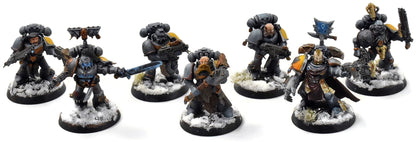 SPACE WOLVES 7 Grey Hunters #1 PRO PAINTED Warhammer 40K