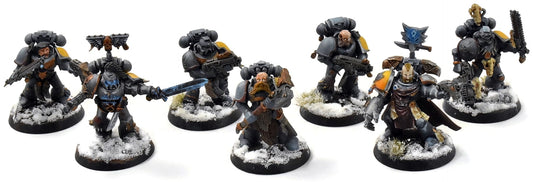 SPACE WOLVES 7 Grey Hunters #1 PRO PAINTED Warhammer 40K