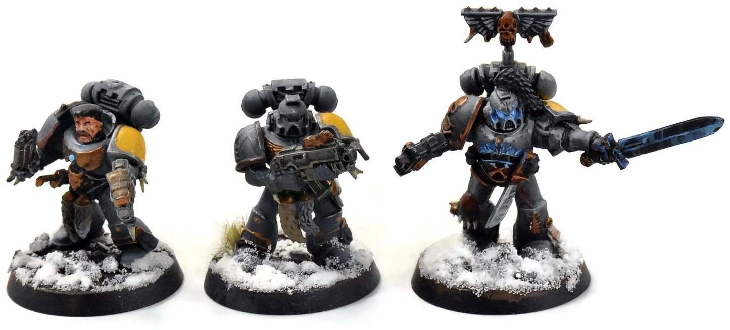 SPACE WOLVES 7 Grey Hunters #1 PRO PAINTED Warhammer 40K