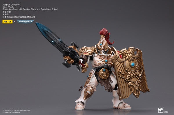 Solar Watch Custodian Guard with Sentinel Blade and Praesidium Shield Joy Toy