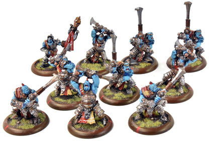 HORDES 10 Trollkin Fenblades #1 METAL trollbloods
