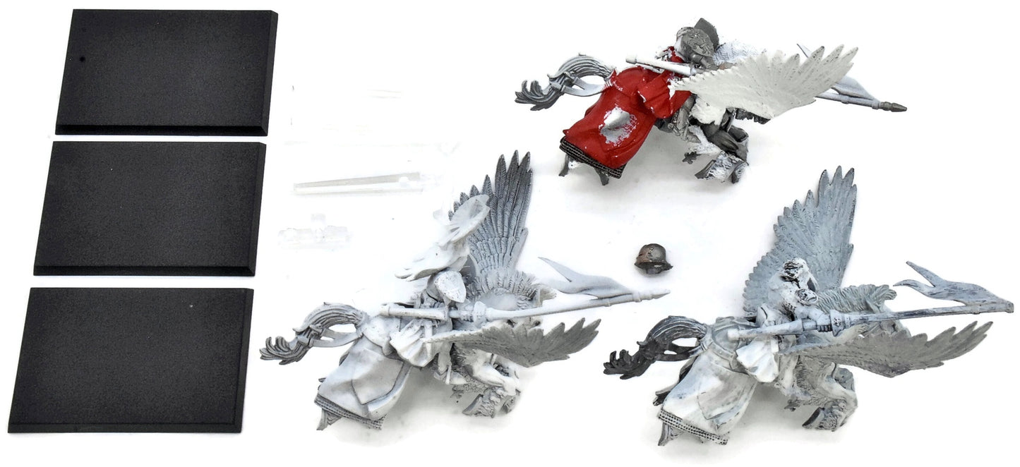 BRETONNIA 3 Pegasus Knight #1 Warhammer Fantasy