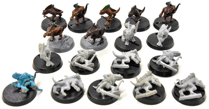 SERAPHON 20 Skinks #2 Sigmar With bow