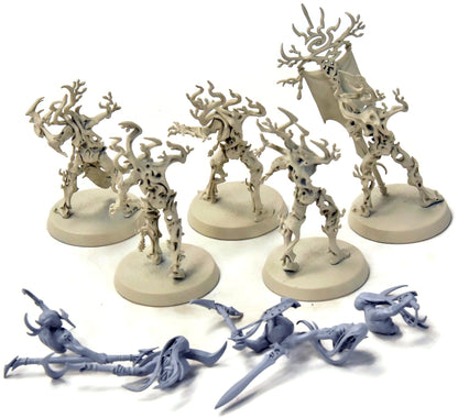 SYLVANETH 5 Tree Revenants #1 Sigmar 6926
