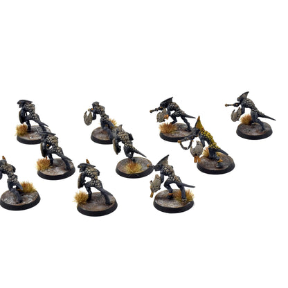 SERAPHON 10 Skinks #4 PRO PAINTED SIGMAR