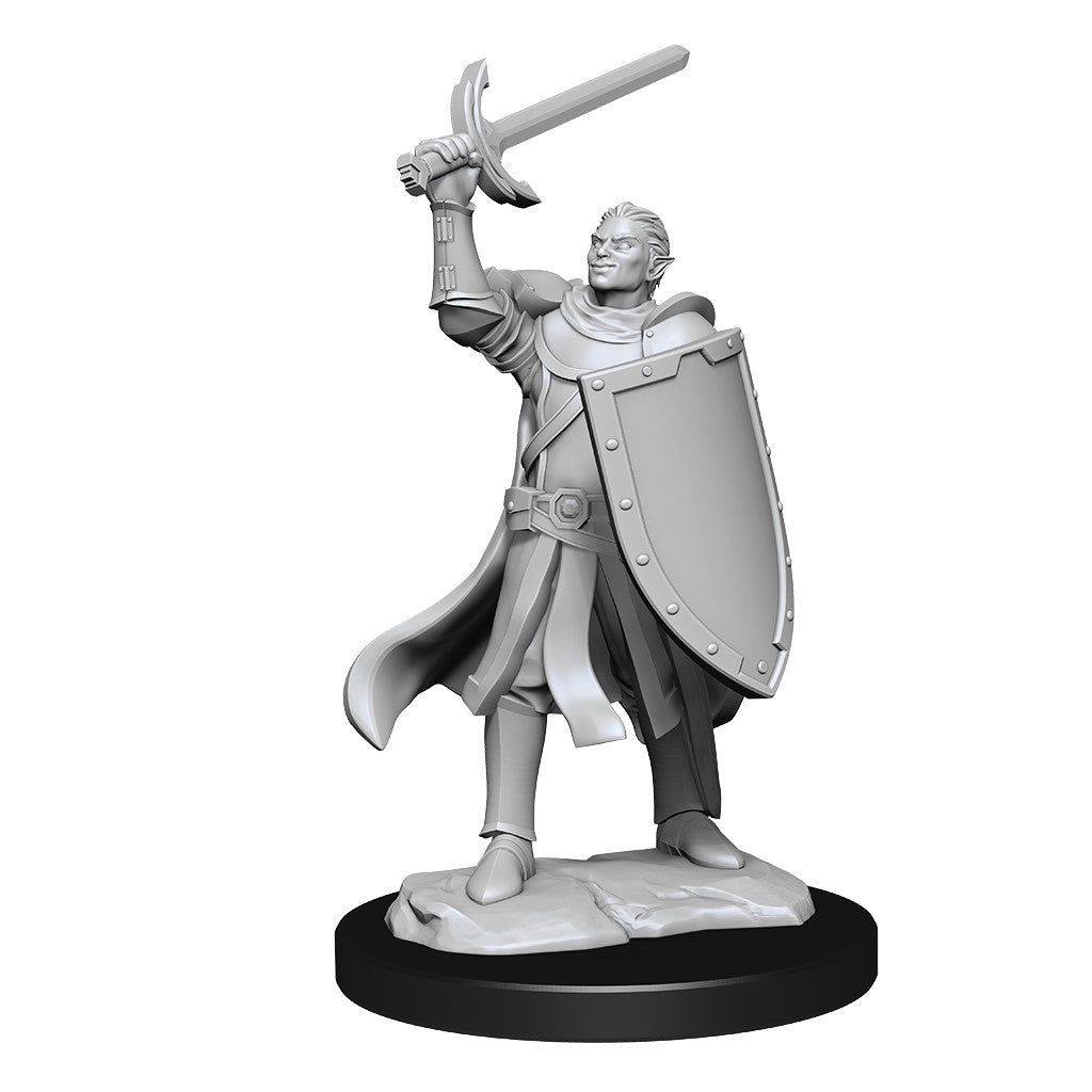 D&D Unpainted Minis Wv14 Half-elf Paladin Male