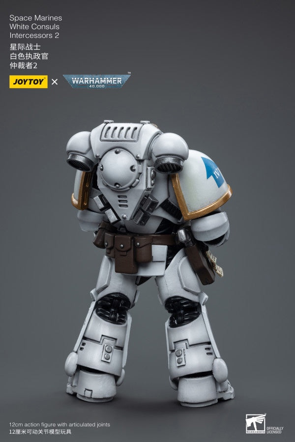 White Consuls Intercessors 2 Space Marines Joy Toy