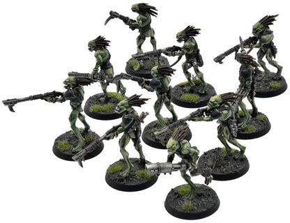 TAU EMPIRE 10 Kroot Carnivores COMMISSION PRO PAINTED Warhammer 40K