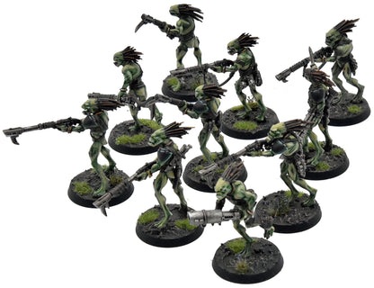 TAU EMPIRE 10 Kroot Carnivores COMMISSION PRO PAINTED Warhammer 40K