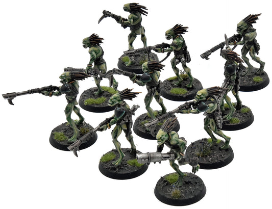 TAU EMPIRE 10 Kroot Carnivores COMMISSION PRO PAINTED Warhammer 40K