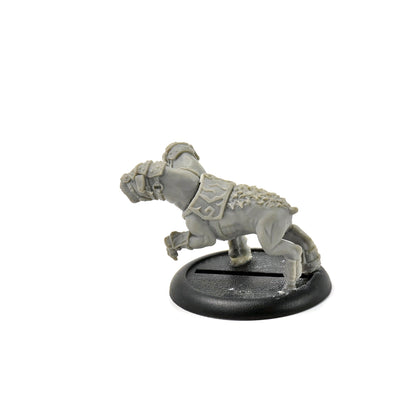 HORDES Circle Orboros Argus Moonhound #1