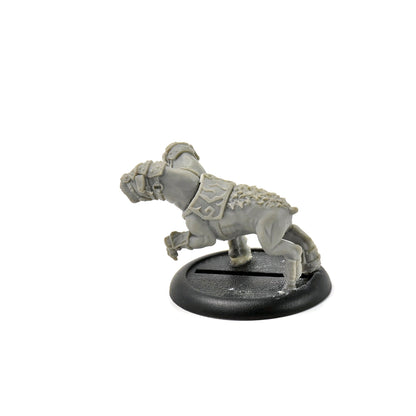 HORDES Circle Orboros Argus Moonhound #1
