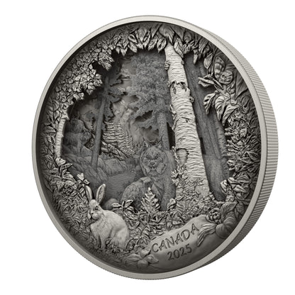 Predator or Prey in Shadow Box – Fine Silver Coin (247976)